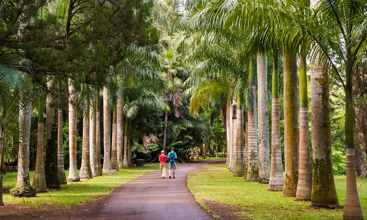 Bel Air Riviere Seche