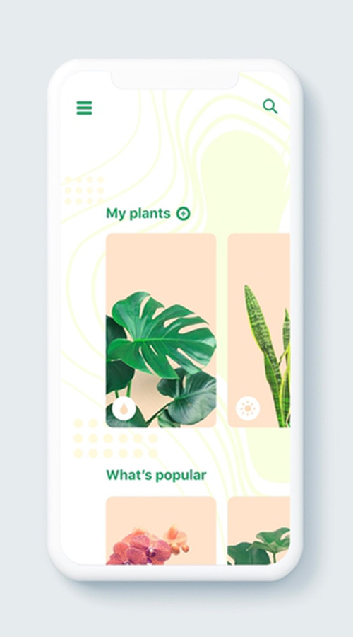 best-web-design-company-in-warangal